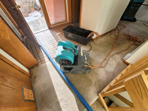 Best Carpet water damage restoration  in Bradley Beach, NJ