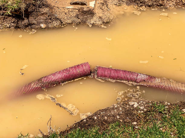 Best Professional water damage repair  in Bradley Beach, NJ